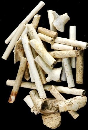 Clay Pipe Fragments
